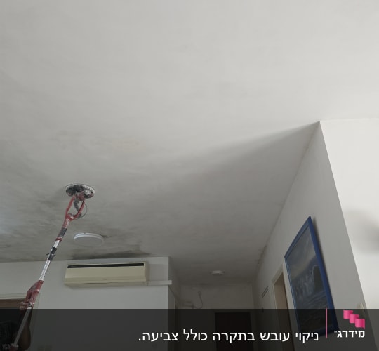 אדם משתמש בכלי לשיוף תקרה בבית